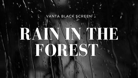 Black Screen Rain in the Woods for Sleep and Relaxation