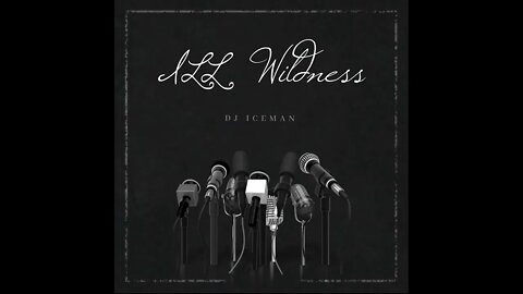 Dj Iceman (Big Boss Beatz) Ill Wildness