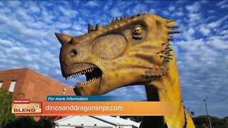 Dinos and Dragons | Morning Blend