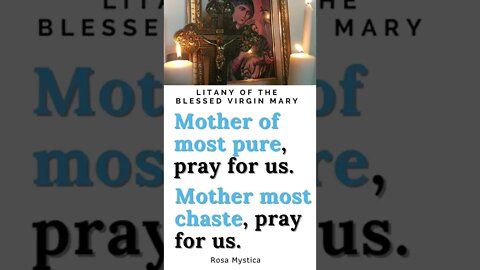Mother most chaste and pure pray for us #shorts