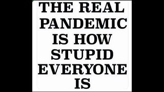 THERE NEVER WAS, AND STILL IS NOT, A "CONTAGIOUS" VIRUS. - PART 1 OF 3 (CONVID BS-19 EXPOSED)