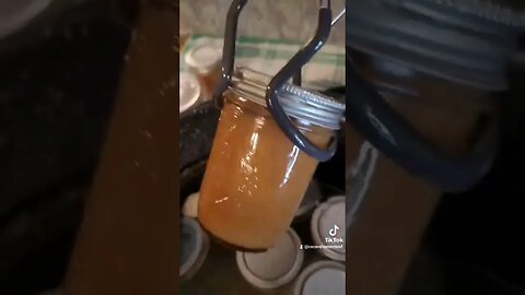 Waterbath Canning Homemade Applesauce