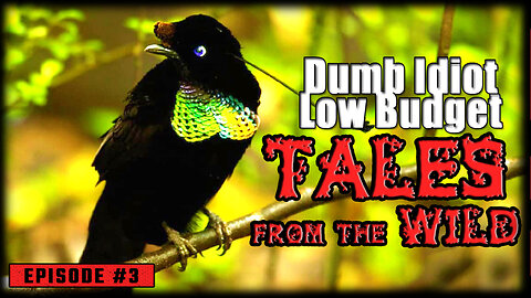 TALES FROM THE WILD (Episode #3) | funny animal voice overs