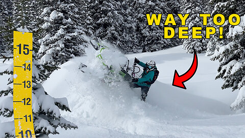 See How Deep This Year's Snow REALLY Is!