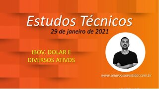 Estudos Técnicos - 29 de janeiro de 2021