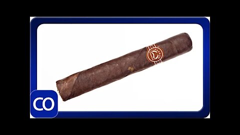 Padron 2000 Maduro Cigar Review