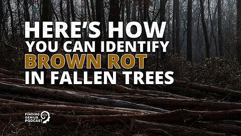 Here’s How You Can Identify Brown Rot in Fallen Trees