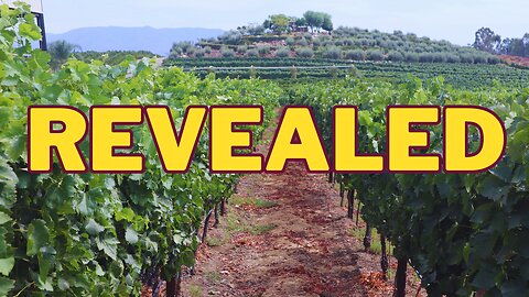 A HIDDEN Temecula Winery Worth FINDING
