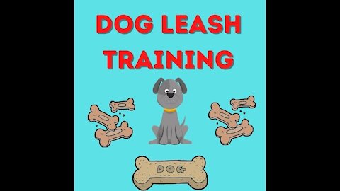 Teach Any Dog To Walk Nice On A Leash | Quick Results!