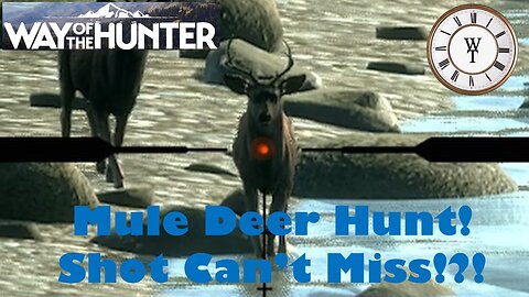 HOW?! The Disappearing Bullet! - Way of the Hunter