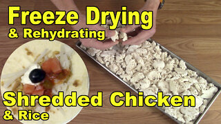 Freeze Drying and Rehydrating Cooked Shredded Chicken