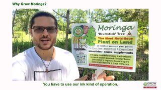 Moringa Business Tools & Labeling for Selling Products Franchising Retail in Stores with your Supply