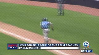 Collegiate League Of The Palm Beaches