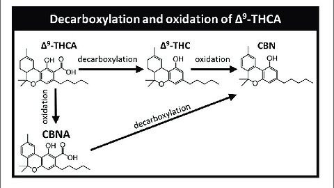 THCa, CBC, & CBD Vs. CBGa to Decarboxylation, Oxidation, Vaporization, & Combustion