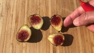 Savanac Noire Main Fig Tasting - Take #2