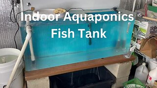 Indoor Aquaponics Fish Tank