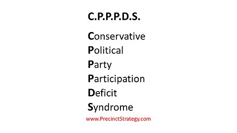 Precinct Strategy Curing the Disease: C.P.P.P.D.S. Dan Schultz April 13 2023