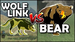 Wolf Link FIGHTS Bear - Zelda Breath of the Wild (BotW) | The Basement