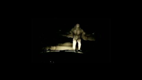 Mothman encounter - Monsterquest