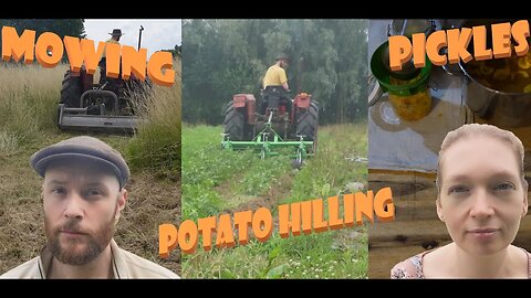 Capra Homestead Season 3 ep 4: Mowing, Potato Hilling & Zucchini Pickles