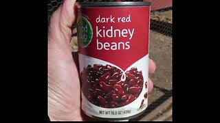 Beans Beans the magical...chicken food. Girls plow through some kidney beans.