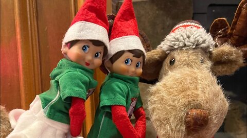 Holly And Jolly Challenged Me To A Staring Contest. Do You Think I Won Against Our Elves? #shorts