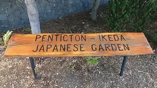 Walk through the idyllic Ikeda Japanese Garden to enjoy the views and to spot fish in the ponds.