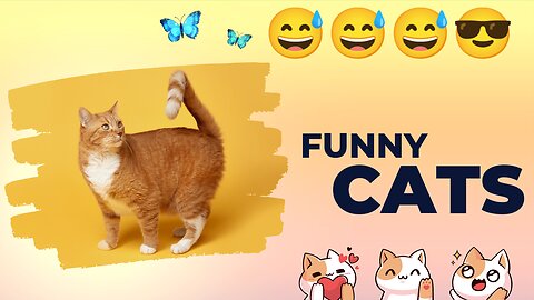 Funny Cats ||cats ||cut cats || funny animals