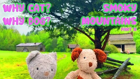 Cat and Dog Visit the Smoky Mountains Part II