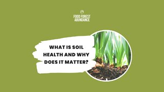 What is soil health and why does it matter?
