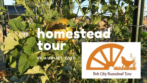 Homestead Tour - 28 August 2020