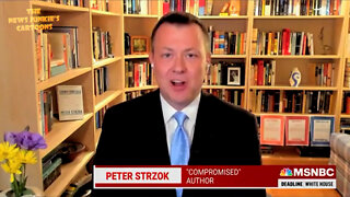 Ex-spy & Hillary's supporter Strzok: "9/11 was nothing compared to 1/6" and we should be hunting down American protesters.