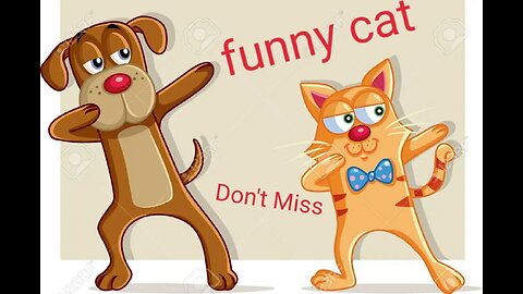 funny animals videos # cat # dog #cute cat # cute dog funiest cat # funniest animals videos