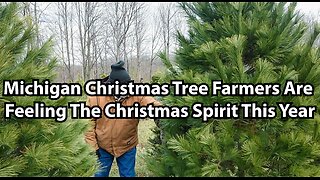 Michigan Christmas Tree Farmers Are Feeling The Christmas Spirit This Year