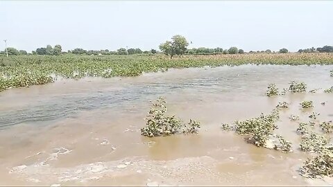 . Sutlej River in flooding in Pakistan