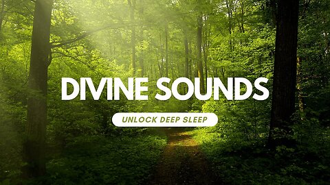 A Relaxing Nature Soundscape with Calming Music | SCENIC RELAXATION