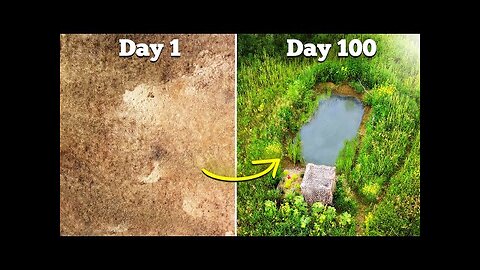 I Built a Wildlife Pond - here's what happened