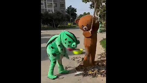 Funny bear 🐻 mad frog 🐸 🤣 #funny video #pipixiong #funny video #rumblepakistan