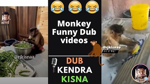 rj kisna funny monkey videos | rj kisna dub kendra @rjkisnaa