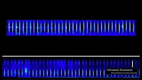 Schumann Resonance QUESTIONS About the 'TECHNOLOGICAL EFFECT'