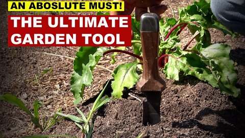 Don't Wait to Expand Your Garden | The Ultimate Garden Tool
