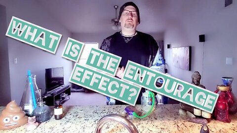 What is the entourage effect? part 1 of cannabinoids series