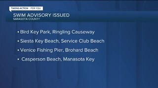 'No Swim' advisory issued for Siesta Key Beach, other Sarasota County beaches