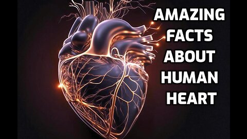 Amazing Facts about Human Heart