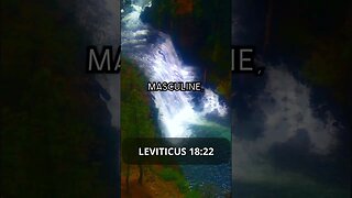 The truth about homosexuality in Leviticus 18:22