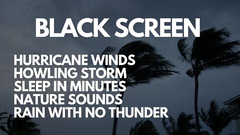 BLACK SCREEN FOR 10 HRS OF HURRICAN WINDS RAIN WITH NO THUNDER AND HOWLING WINDS, NATURE SOUND SLEEP