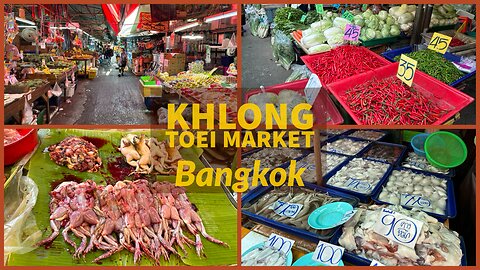Khlong Toei Market – The Largest Fresh Food Market In Bangkok - Thailand 2024