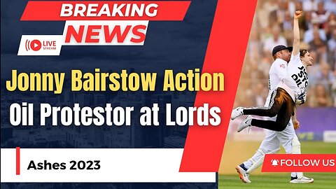 Jonny Bairstow | Just Stop the Oil Protestor