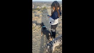 Hiking with the puppies