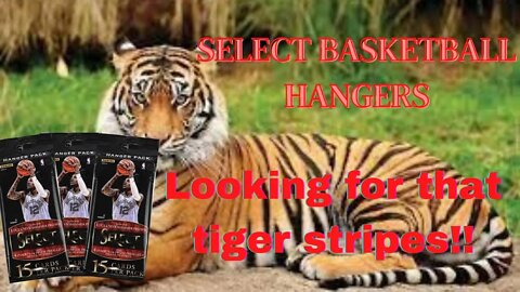 Another try at looking for a tiger stripes in Select Basketball!!